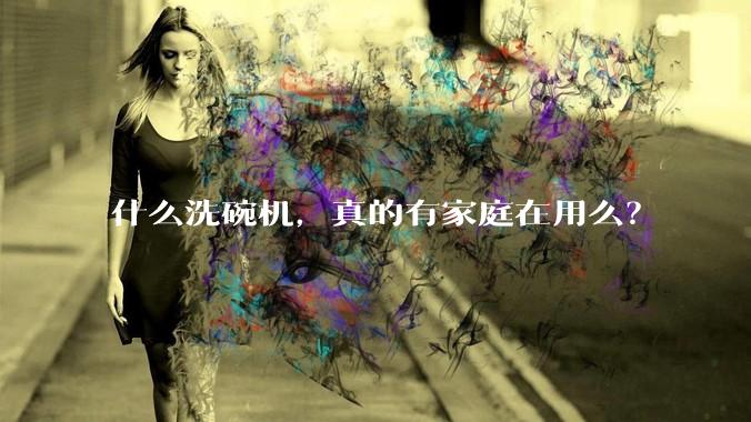 什么洗碗机，真的有家庭在用么？